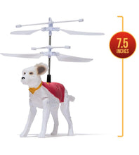 Load image into Gallery viewer, DC Superman Up In The Sky! Flying Krypto