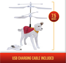 Load image into Gallery viewer, DC Superman Up In The Sky! Flying Krypto
